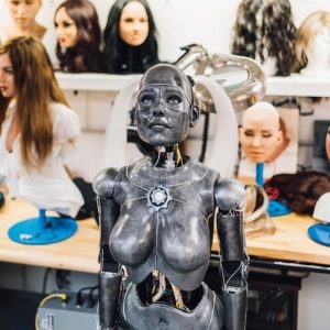 What is a Sex Doll Robot?